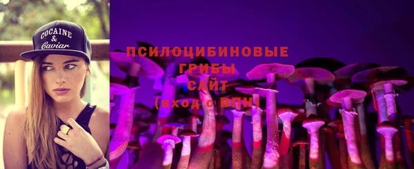 соль курить ск Богданович