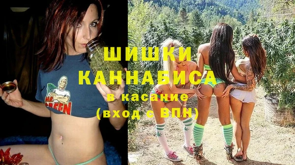 ALPHA PVP Богородицк