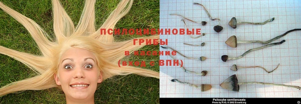 ALPHA PVP Богородицк