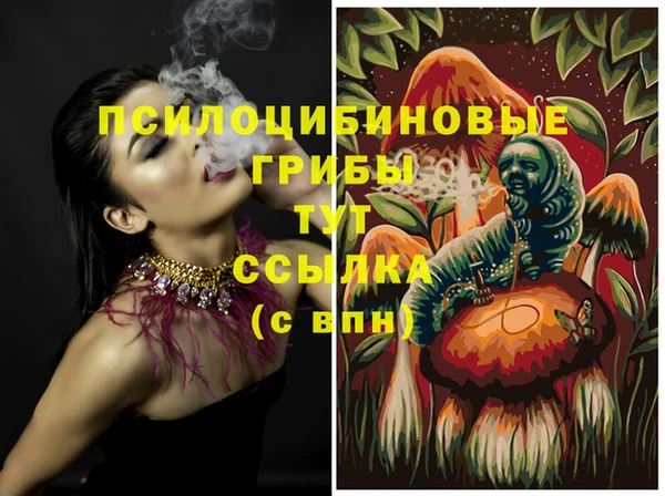ALPHA PVP Богородицк